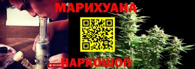 гашик Кандалакша