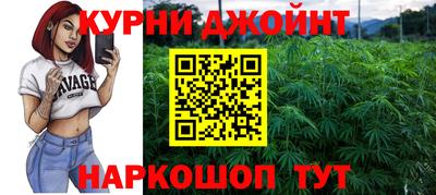 гашик Кандалакша