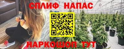 гашик Кандалакша