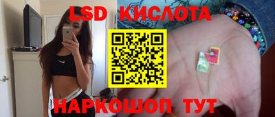 гашик Кандалакша