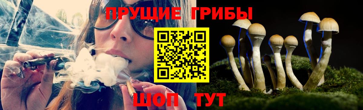 Псилоцибиновые грибы ЛСД  Вход с VPN  Ленинск-Кузнецкий 